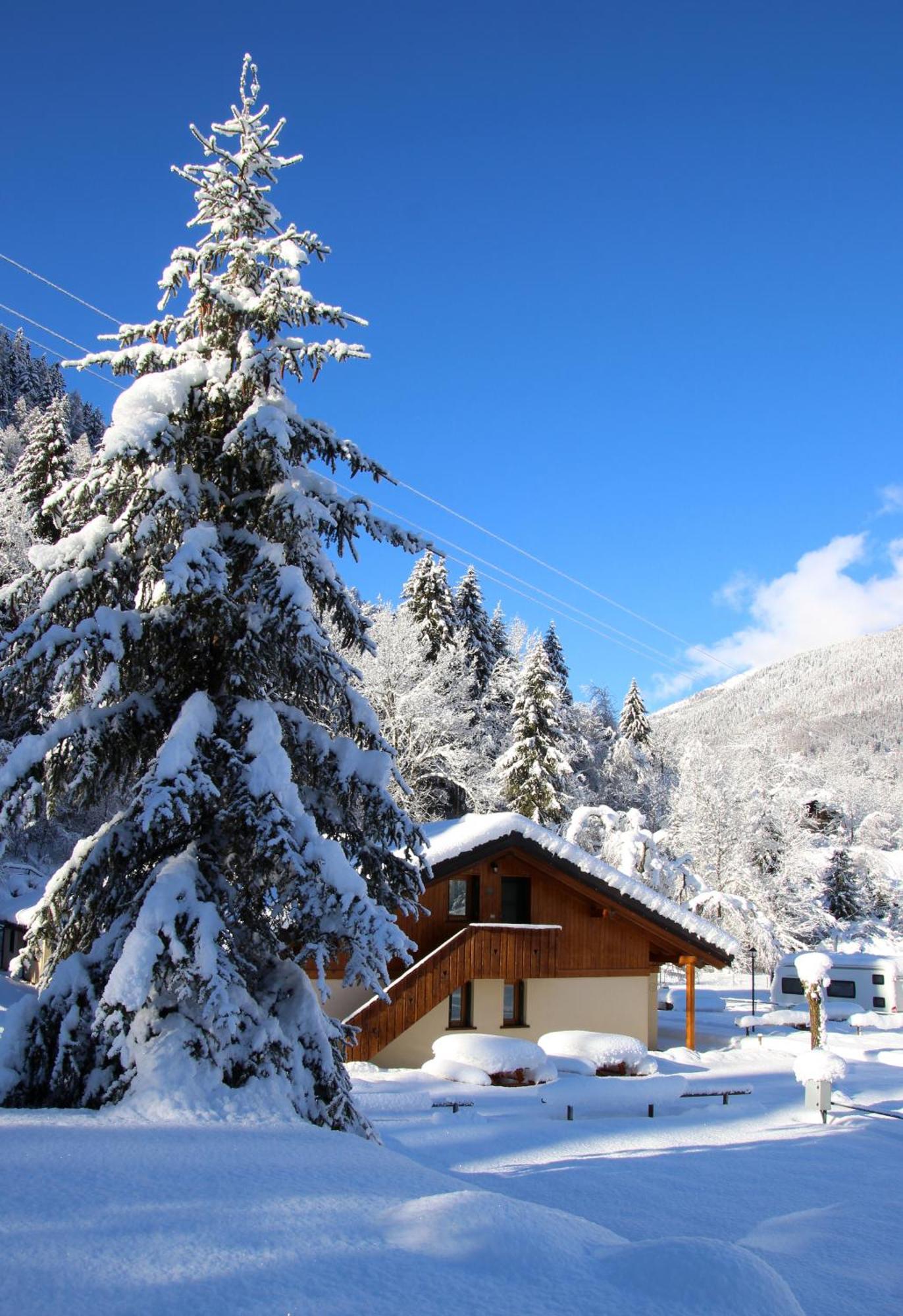 Chalet Presanella Temù Exterior foto